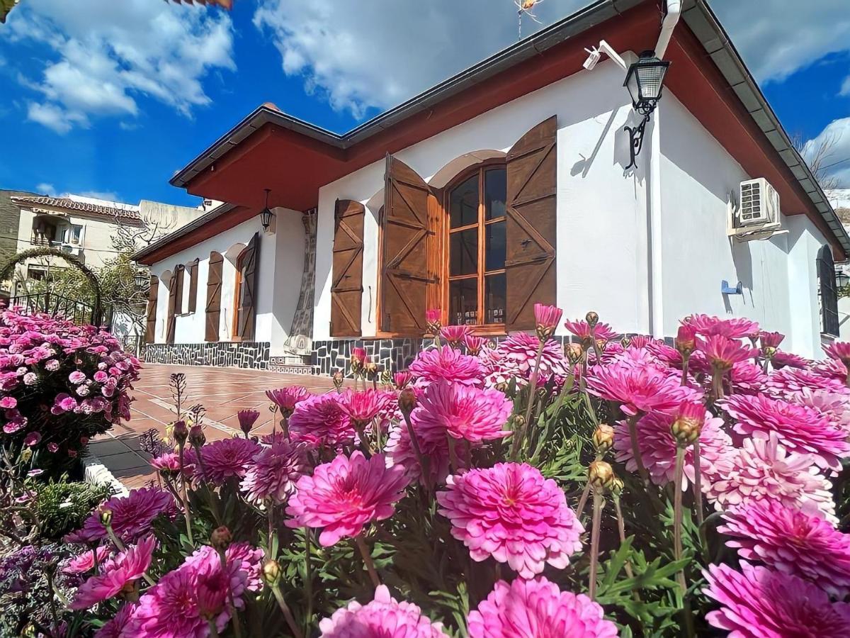 Vistablanca - Construida En Sola Planta Con Bonitas Vistas - Piscina Privada Y Clima Agradable Junto A La Capital