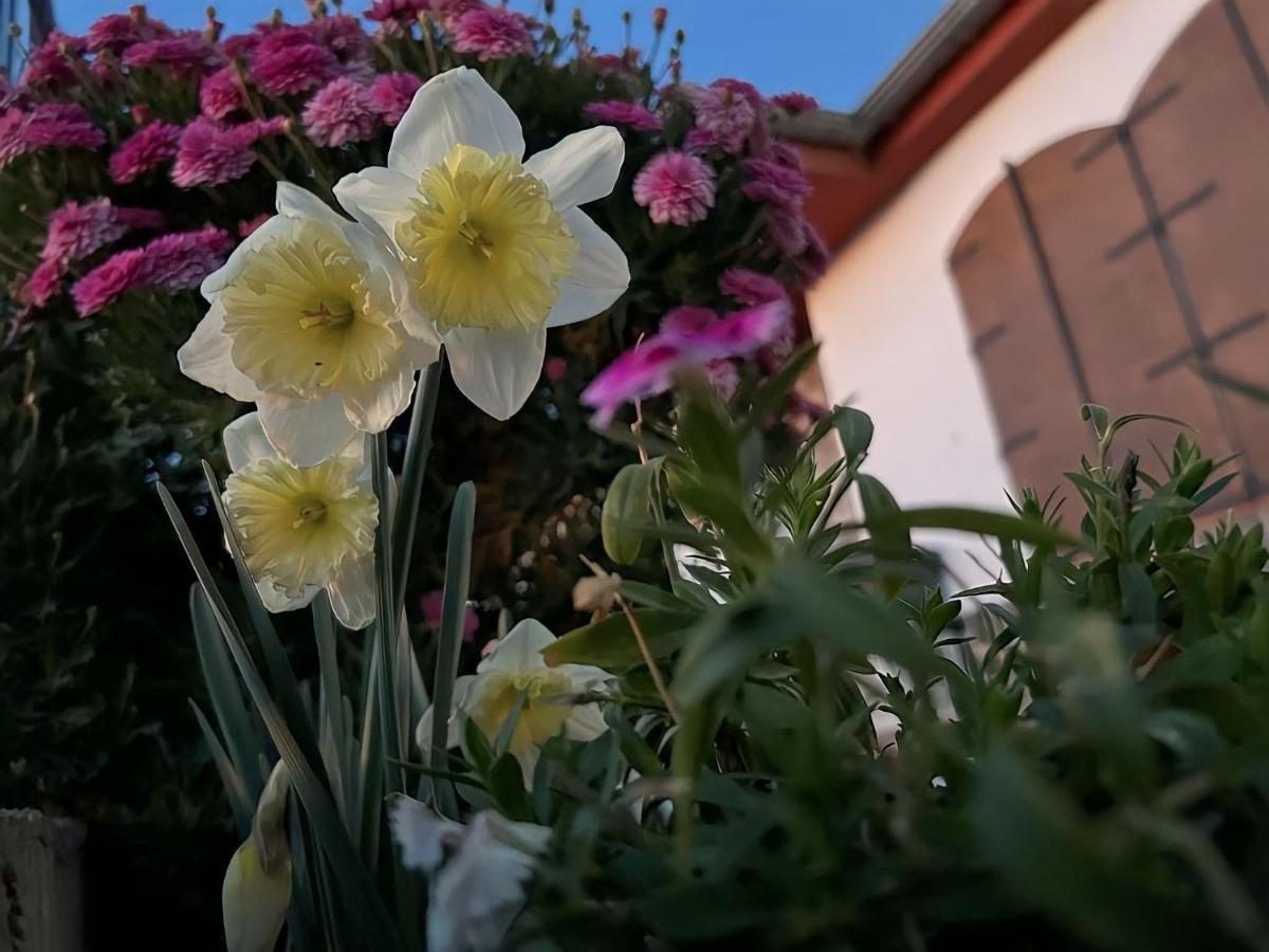 Vistablanca - Construida En Sola Planta Con Bonitas Vistas - Piscina Privada Y Clima Agradable Junto A La Capital Cenes De La Vega
